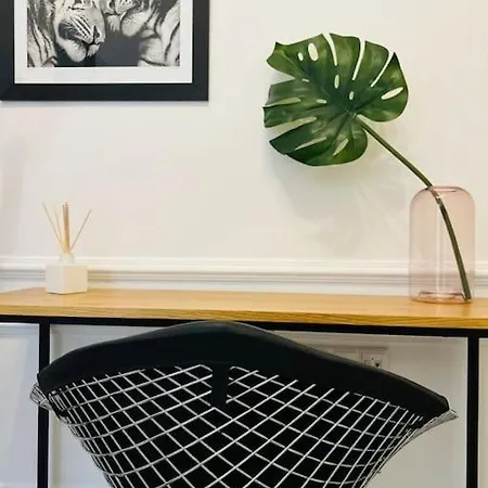 Redstripes 公寓 塞萨洛尼基